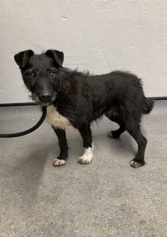 Rose看上去較失蹤前更壯更胖。(FB)