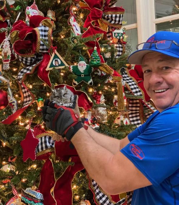 Madeline與家人再找到這隻貓頭鷹時,小心翼翼地把牠放回大自然。(X)