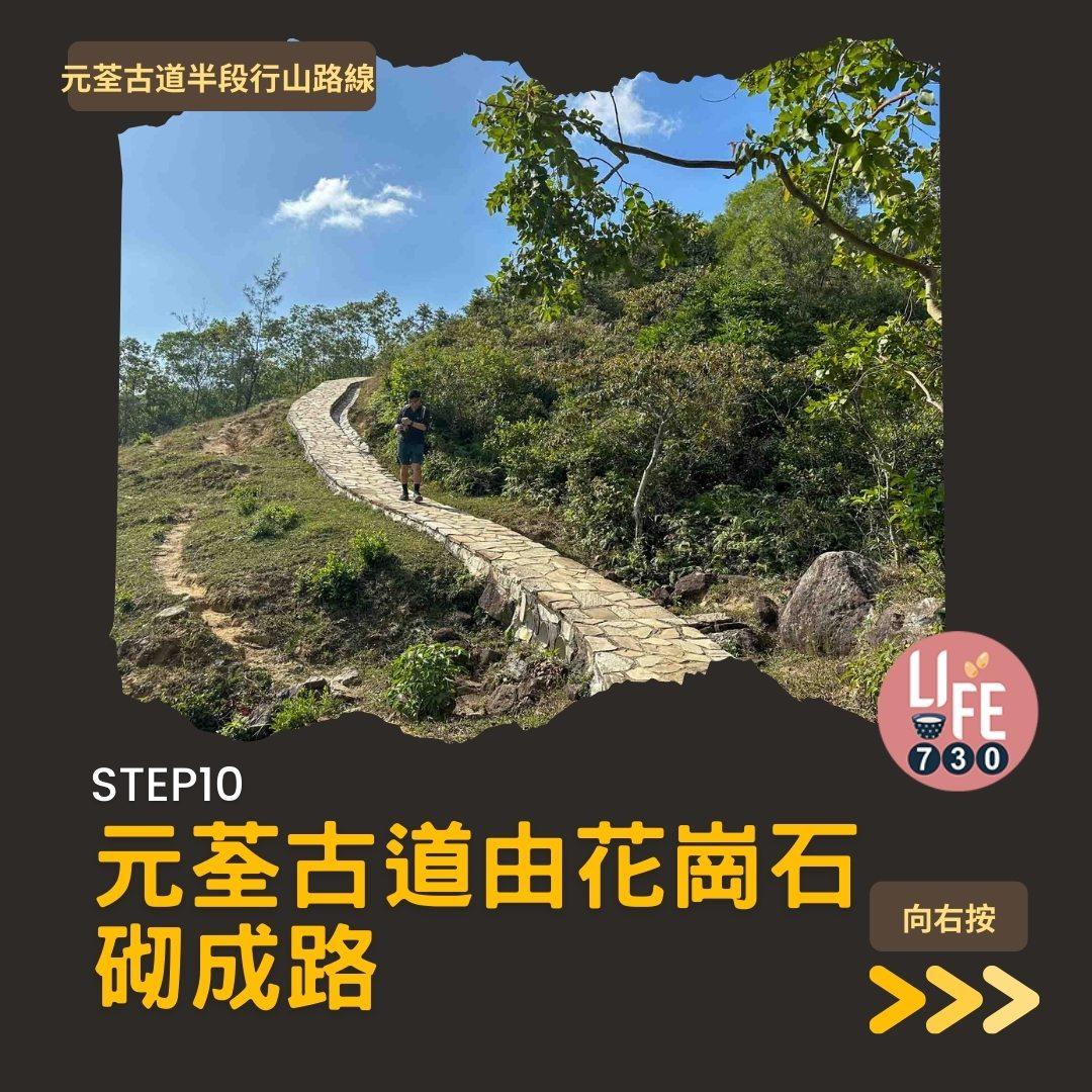 紅葉行山路線︱元荃古道半段往深井(am730製圖)