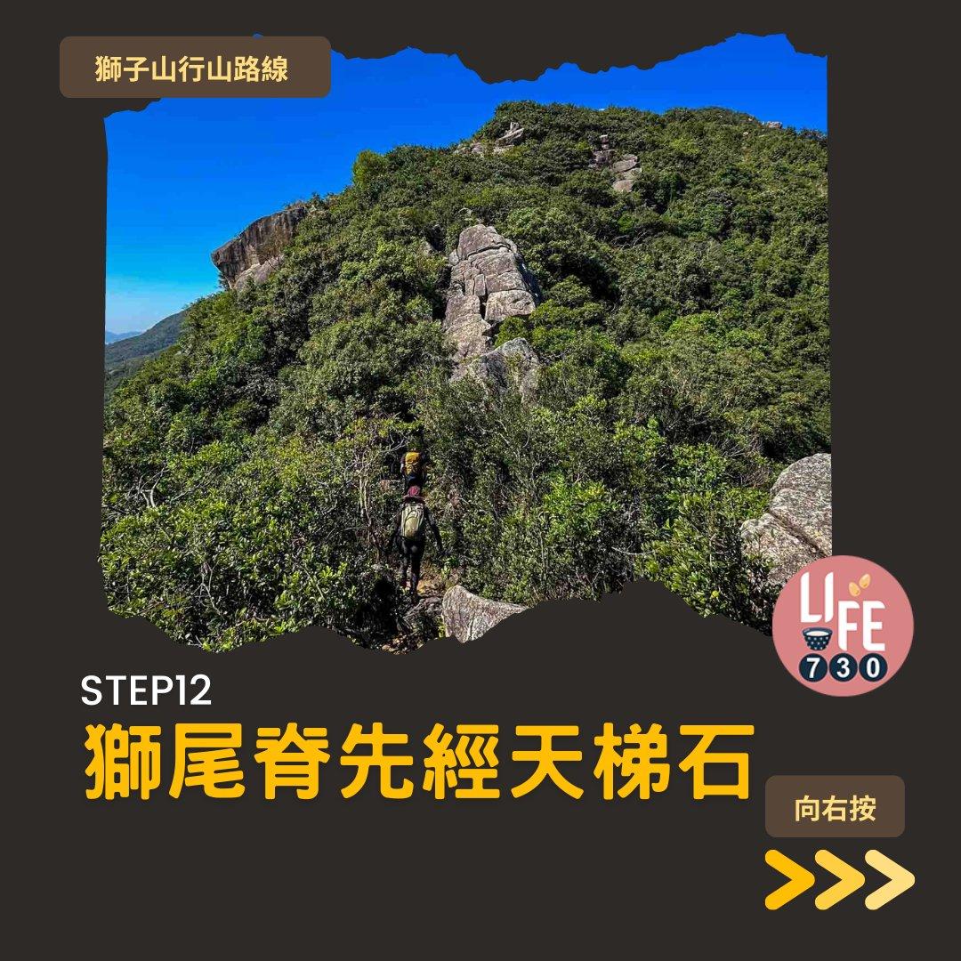 獅尾脊賞獅子山下︱中高級獅子山行山路線(am730製圖)