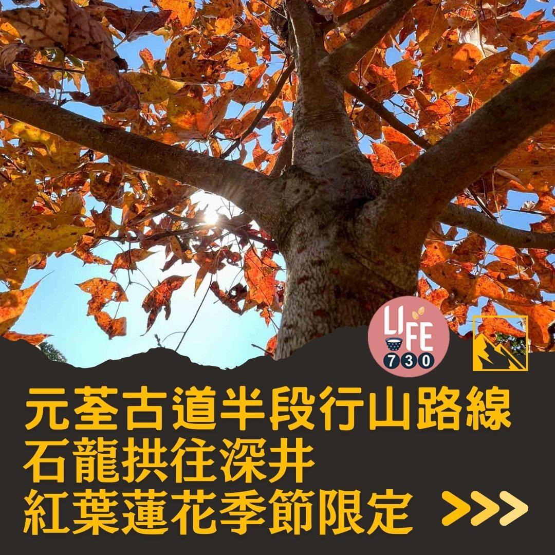 紅葉行山路線︱元荃古道半段往深井(am730製圖)