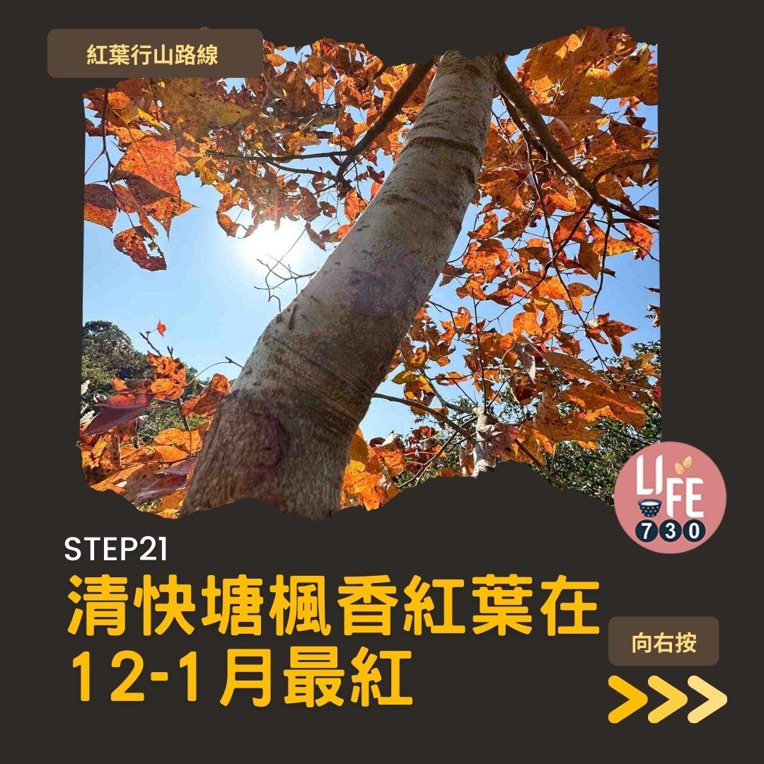 紅葉行山,由圓墩到清快塘(am730製圖)