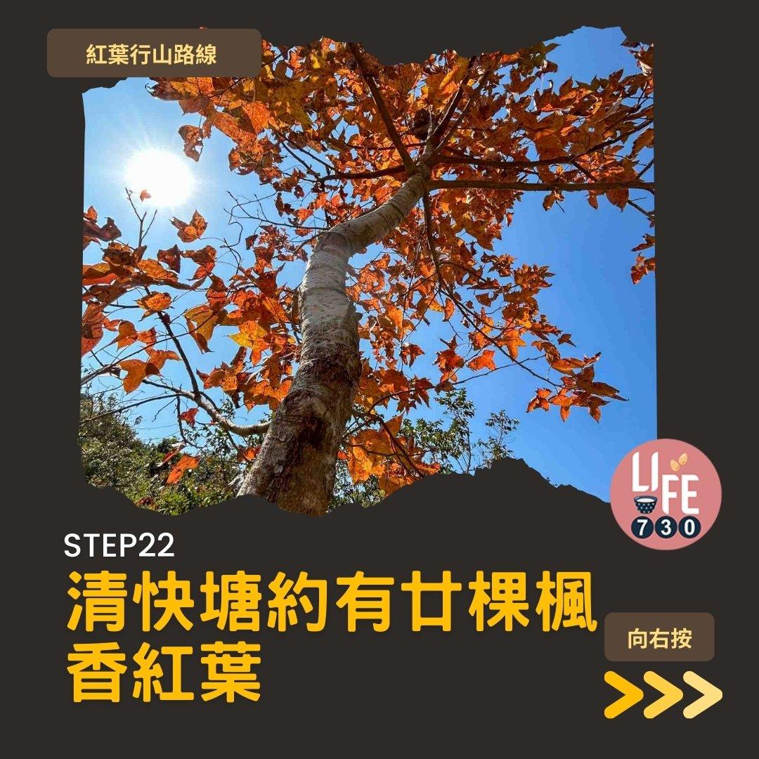 紅葉行山,由圓墩到清快塘(am730製圖)