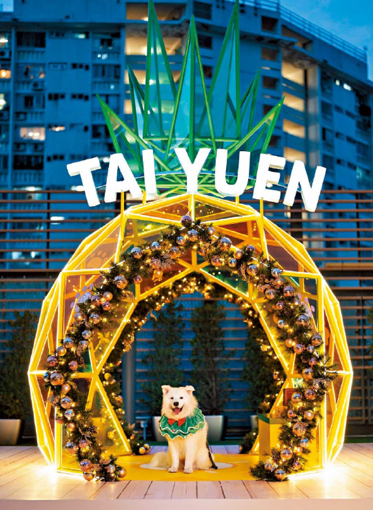 大元商場 Play Eat Tai Yuen Christmas Pawty