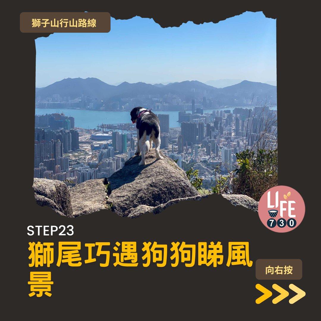 獅尾脊賞獅子山下︱中高級獅子山行山路線(am730製圖)