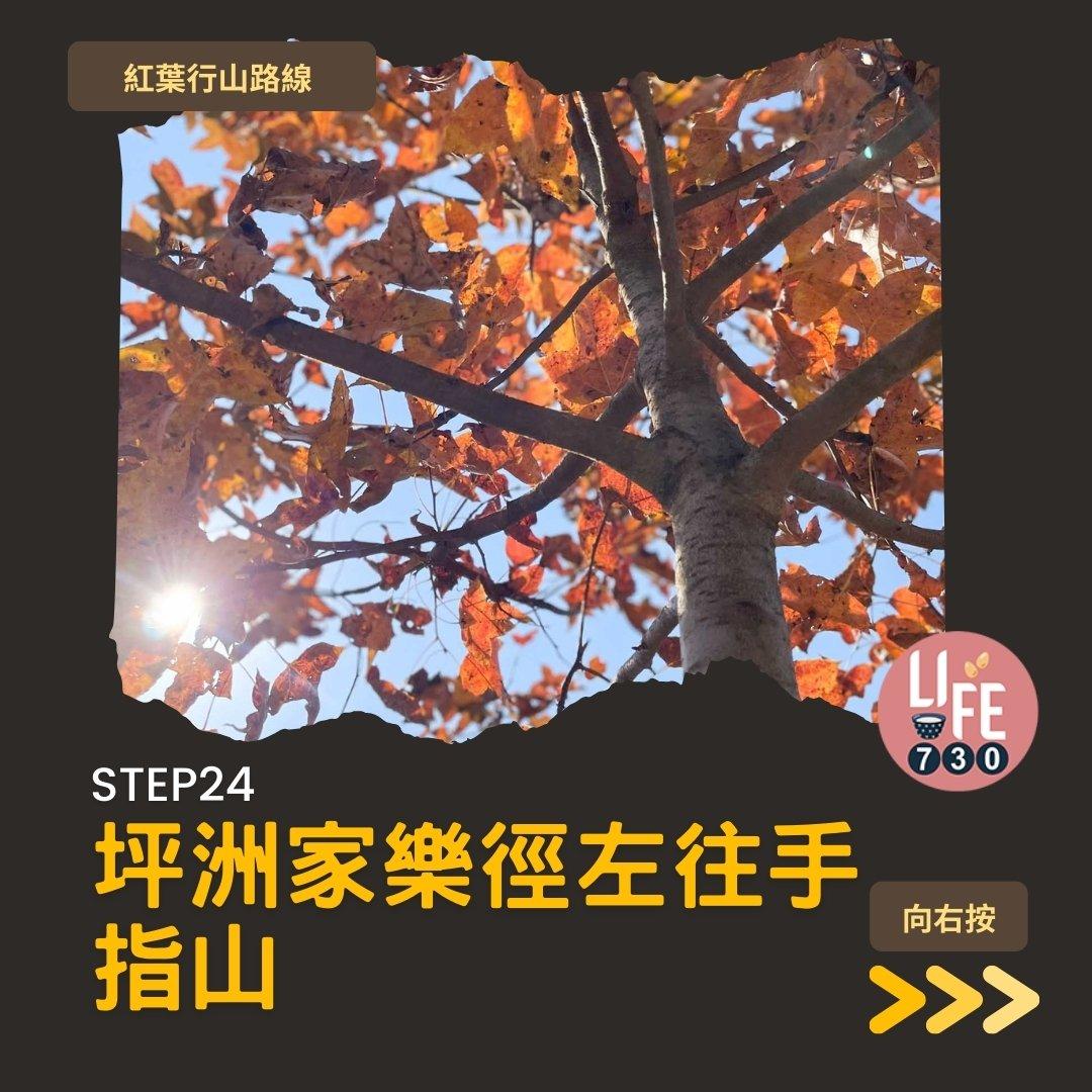 紅葉行山,由圓墩到清快塘(am730製圖)