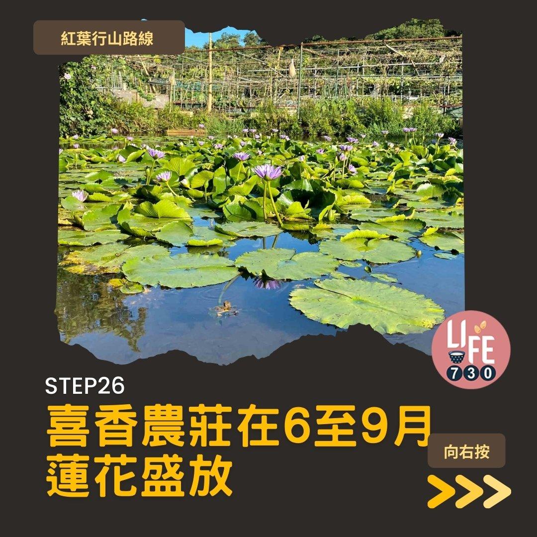 紅葉行山,由圓墩到清快塘(am730製圖)