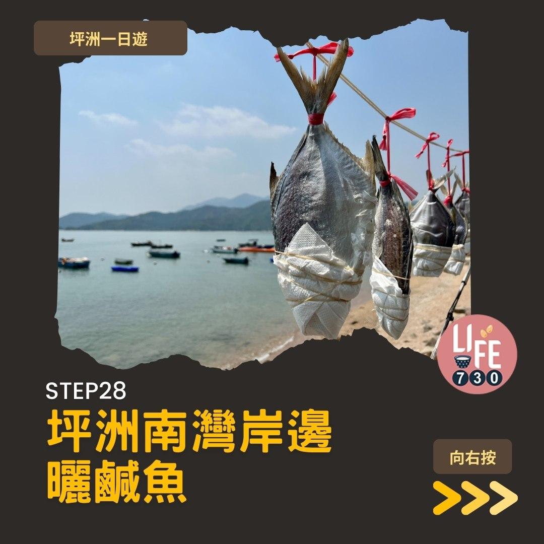 坪洲一日遊(am730製圖)