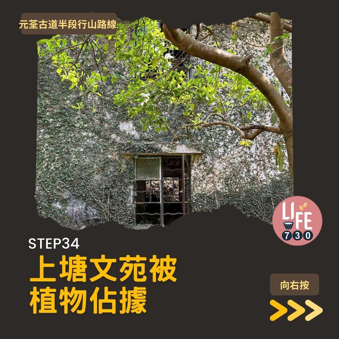 紅葉行山路線︱元荃古道半段往深井(am730製圖)