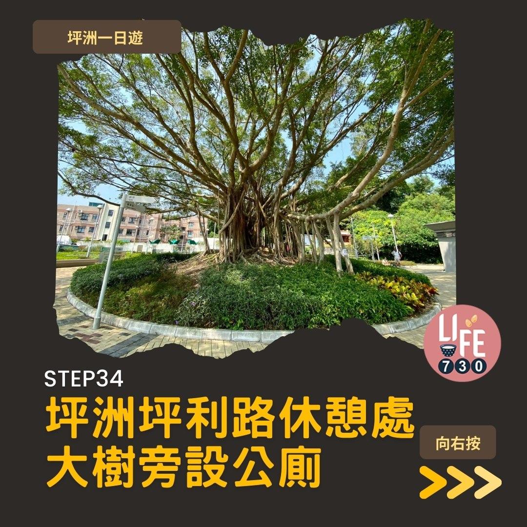 坪洲一日遊(am730製圖)