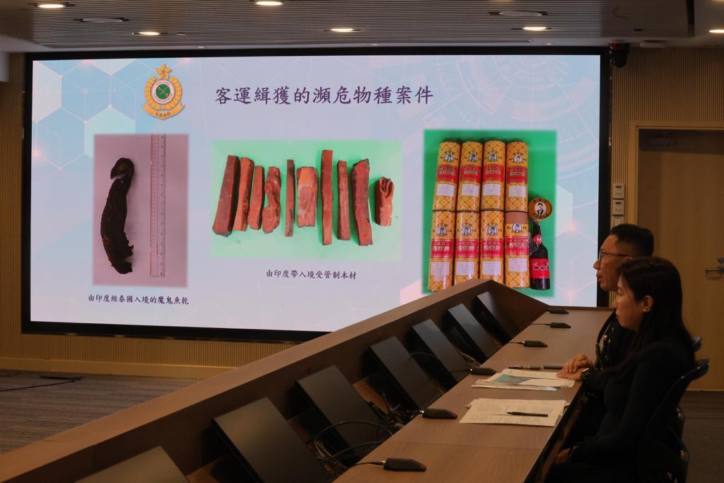 今年涉及瀕危物種案件暫錄379宗升約30% 大部分魚翅物種明起納入瀕危物種