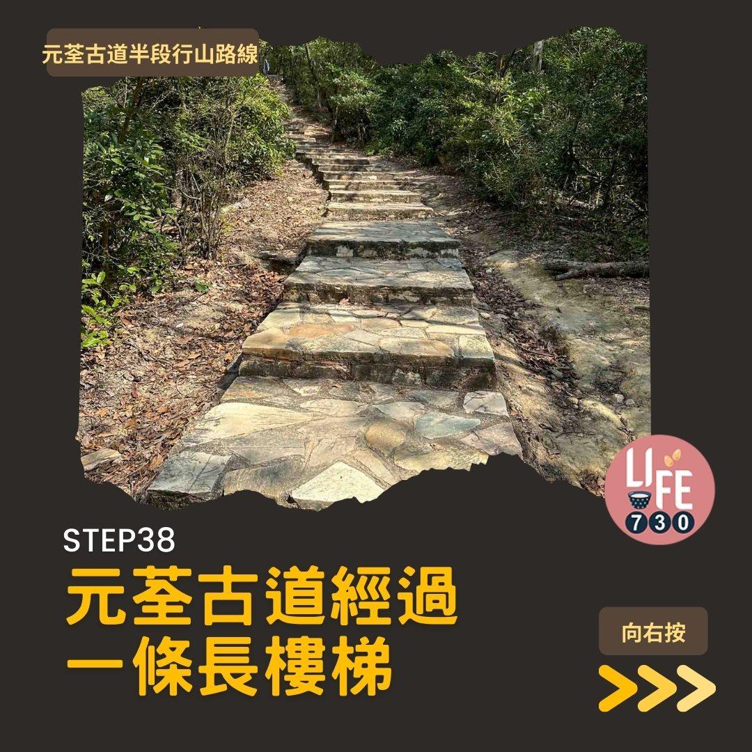 紅葉行山路線︱元荃古道半段往深井(am730製圖)