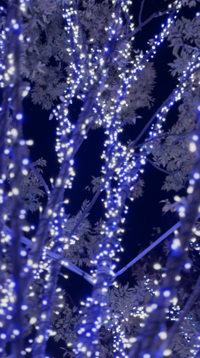 「光之街聖誕市集」設有多個聖誕燈飾。