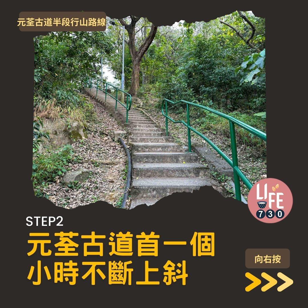 紅葉行山路線︱元荃古道半段往深井(am730製圖)