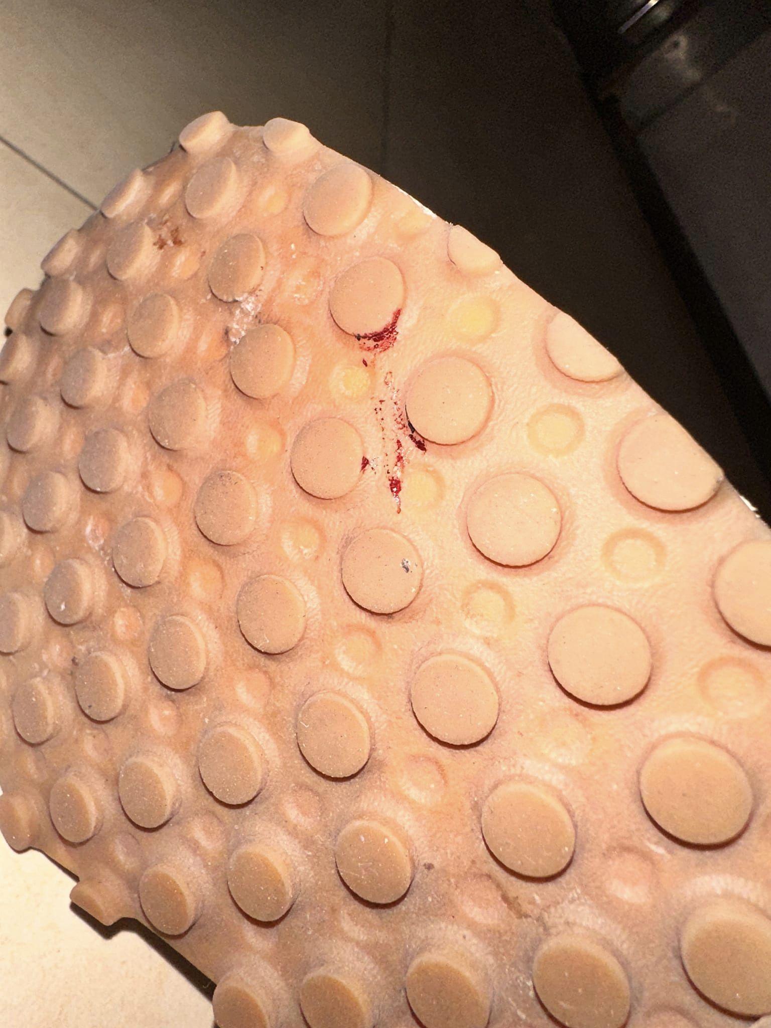 事件最早由一名網民於facebook群組「澳門高登起底組」揭發,他指與太太深夜搭乘香港返澳門的WF9736金巴,「短短45分鐘車程,經歷人生一次恐懼嘅經歷」,「一邊坐一邊有嘢咬我同我太太,一落車已經發現成隻鞋都有蟲」。