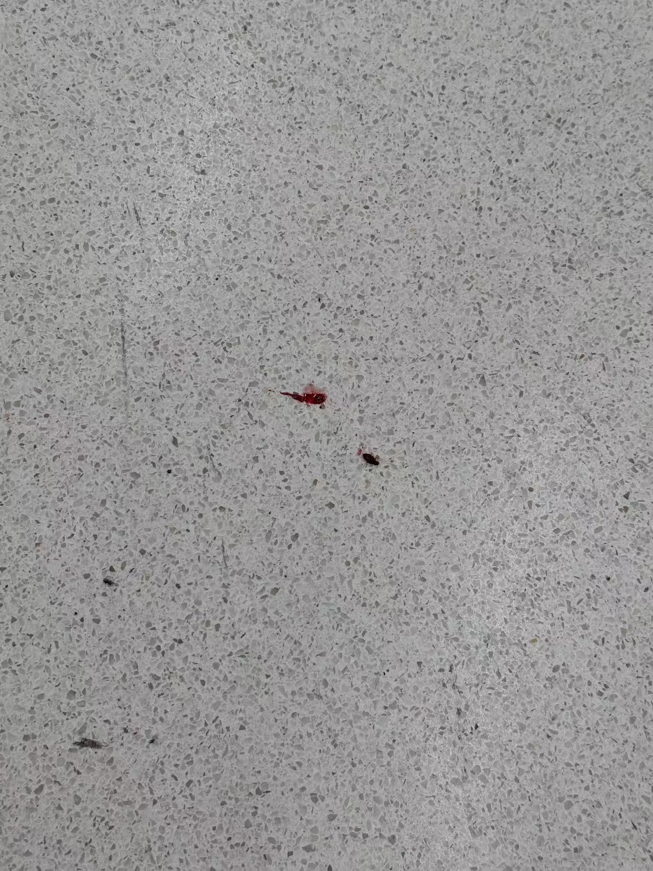 事件最早由一名網民於facebook群組「澳門高登起底組」揭發,他指與太太深夜搭乘香港返澳門的WF9736金巴,「短短45分鐘車程,經歷人生一次恐懼嘅經歷」,「一邊坐一邊有嘢咬我同我太太,一落車已經發現成隻鞋都有蟲」。