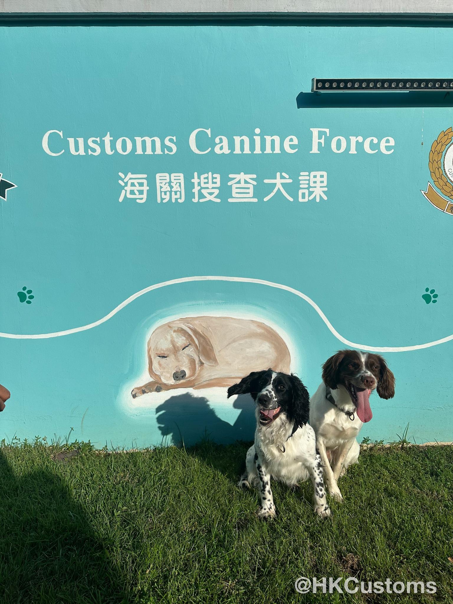 香港海關成為亞太區「地區犬隻訓練中心」。(海關FB)