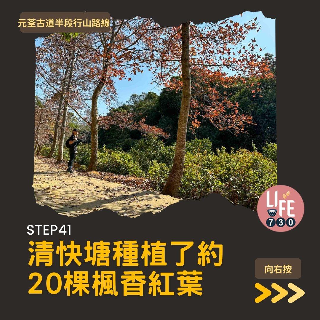 紅葉行山路線︱元荃古道半段往深井(am730製圖)