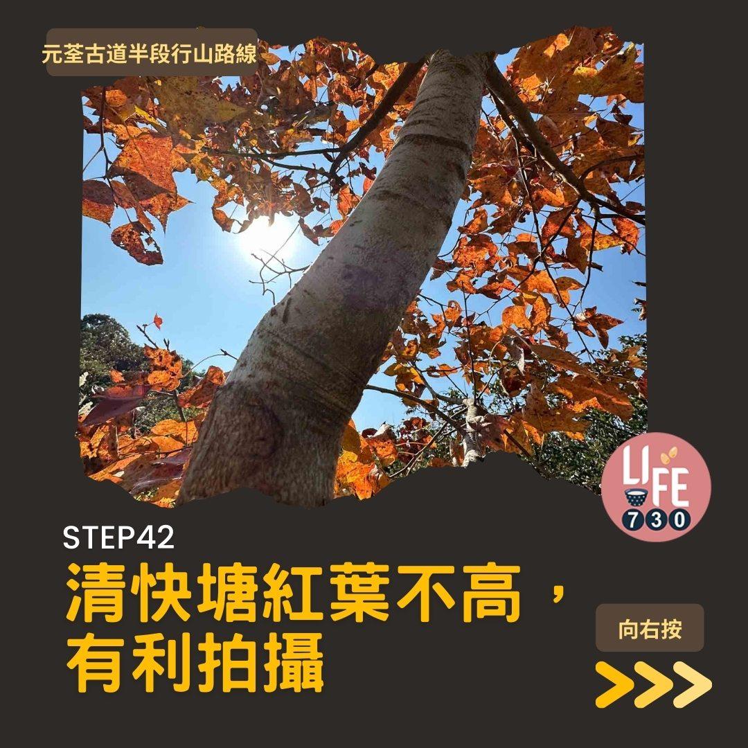 紅葉行山路線︱元荃古道半段往深井(am730製圖)