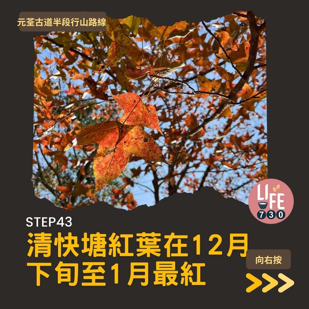 紅葉行山路線︱元荃古道半段往深井(am730製圖)