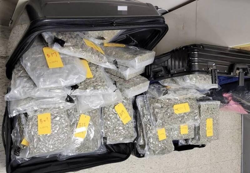 一名香港旅客從加拿大溫哥華搭機,過境台灣桃園機場轉機往香港,過境轉機行李經過X光檢查時,被查獲逾27公斤二級毒品大麻。