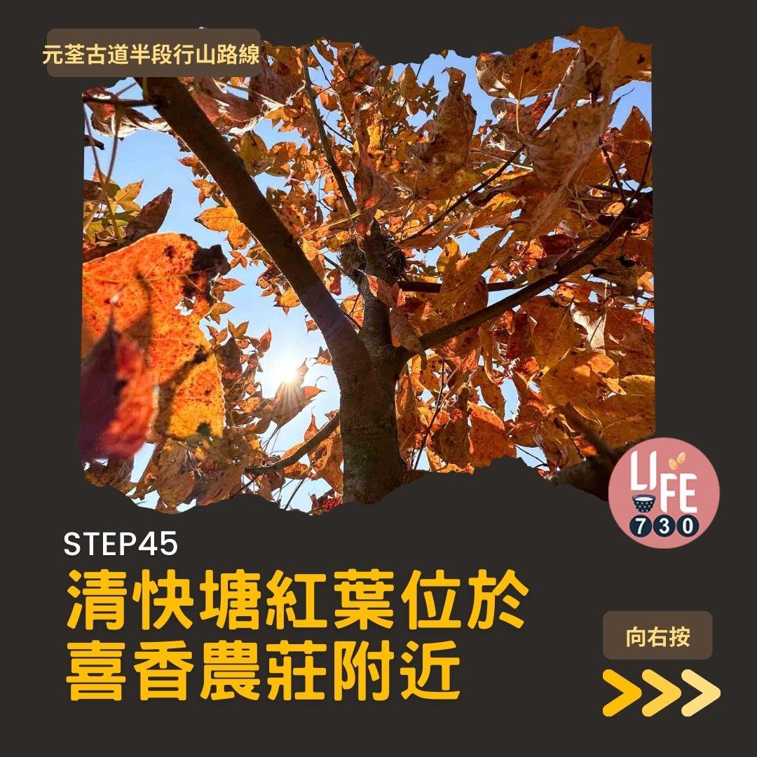紅葉行山路線︱元荃古道半段往深井(am730製圖)