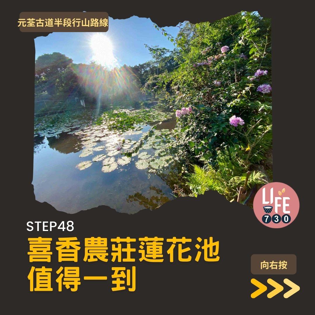 紅葉行山路線︱元荃古道半段往深井(am730製圖)
