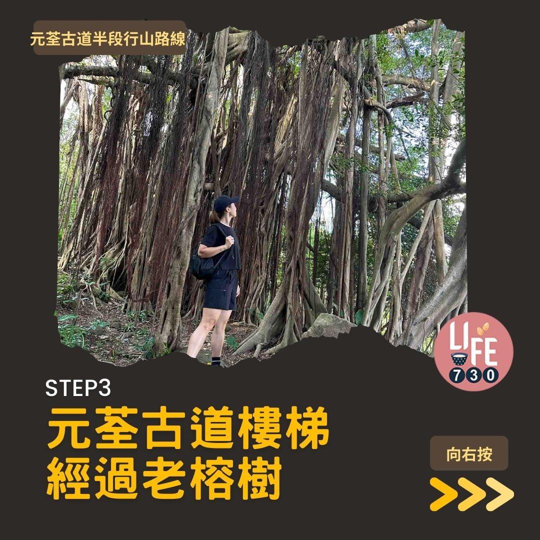 紅葉行山路線︱元荃古道半段往深井(am730製圖)