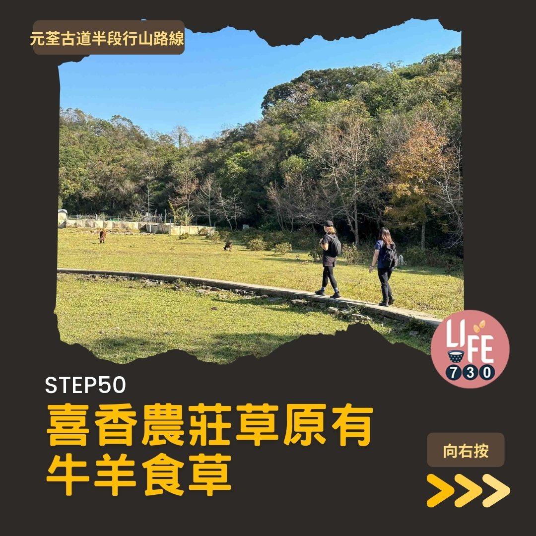 紅葉行山路線︱元荃古道半段往深井(am730製圖)