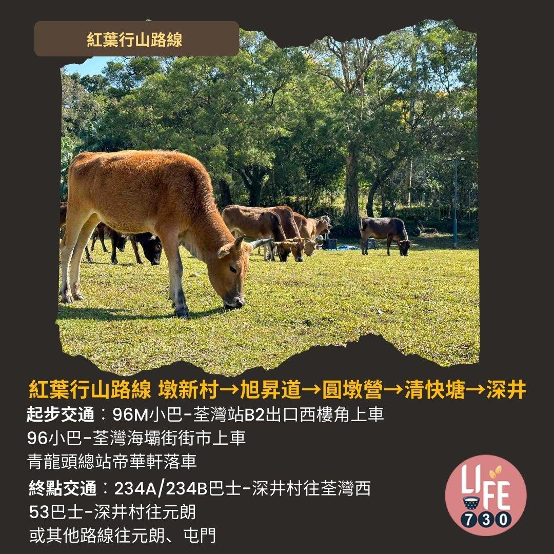 紅葉行山,由圓墩到清快塘(am730製圖)