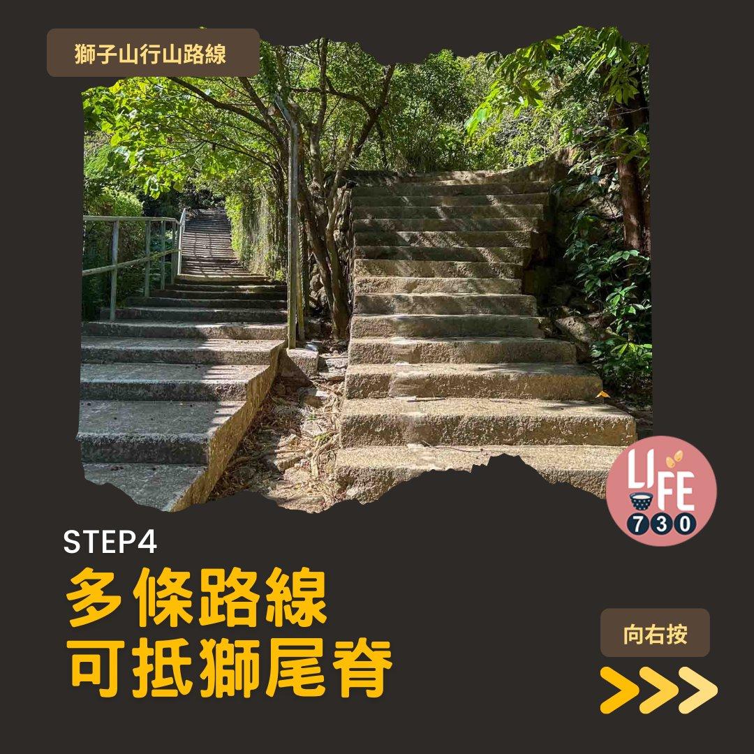 獅尾脊賞獅子山下︱中高級獅子山行山路線(am730製圖)