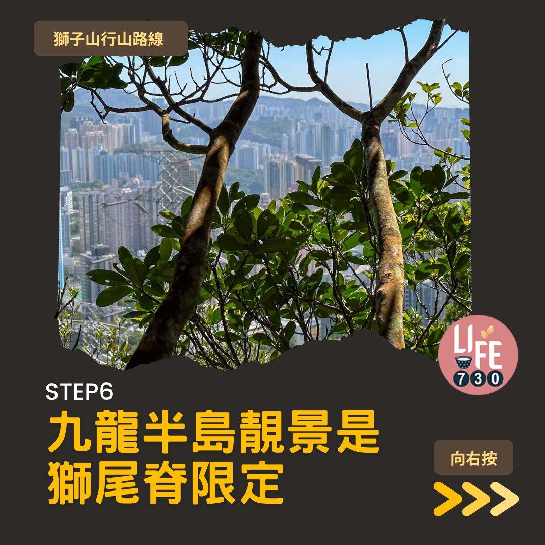 獅尾脊賞獅子山下︱中高級獅子山行山路線(am730製圖)