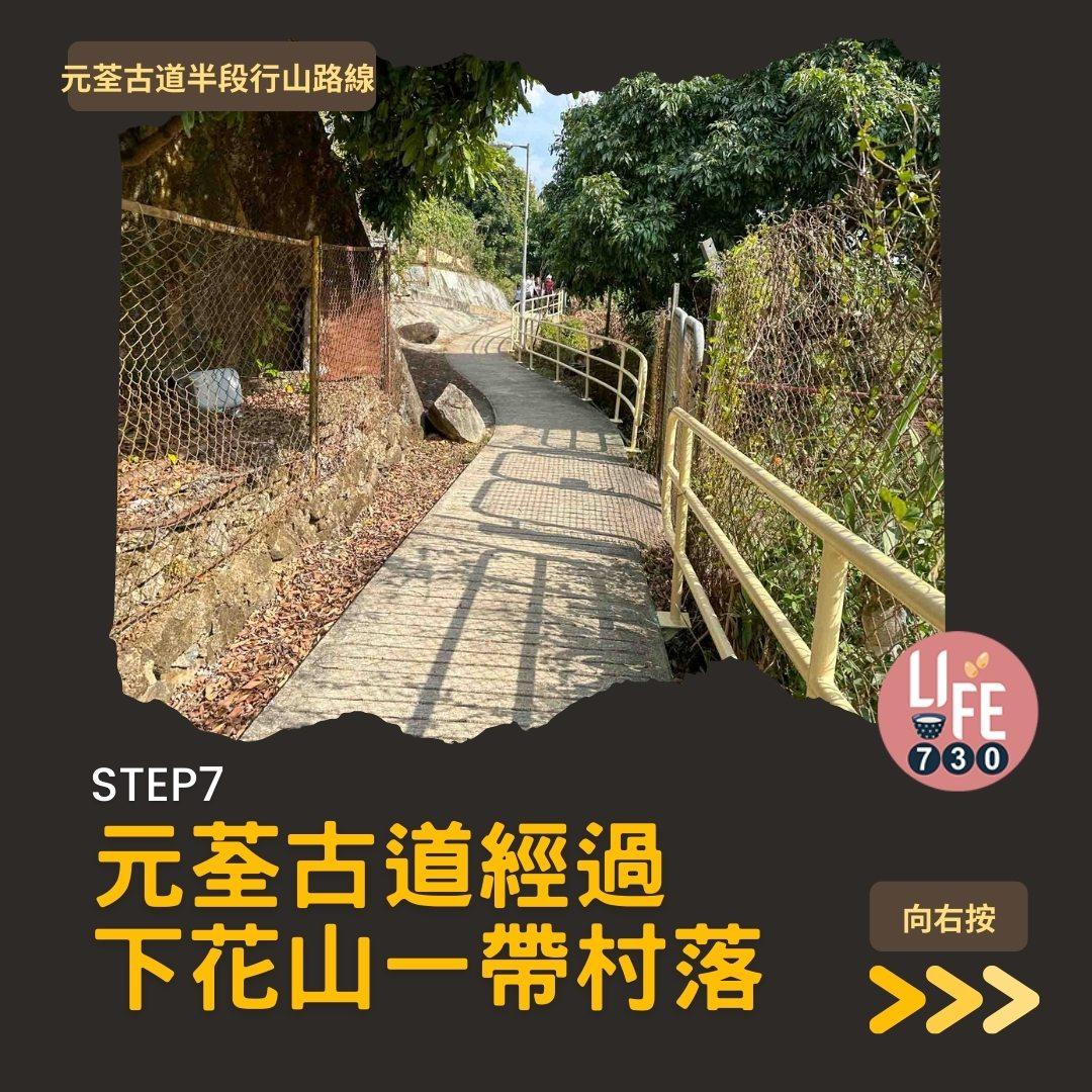 紅葉行山路線︱元荃古道半段往深井(am730製圖)