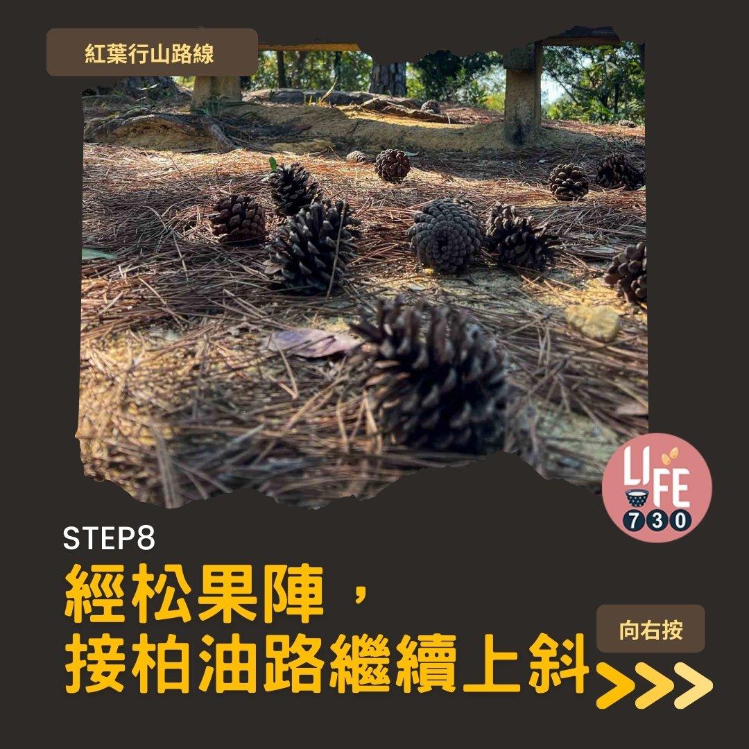 紅葉行山,由圓墩到清快塘(am730製圖)