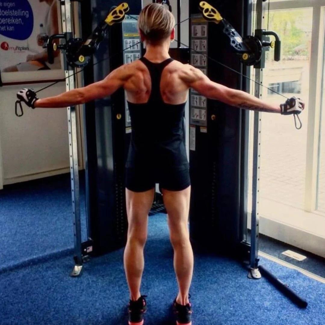 站姿鋼線反向飛鳥