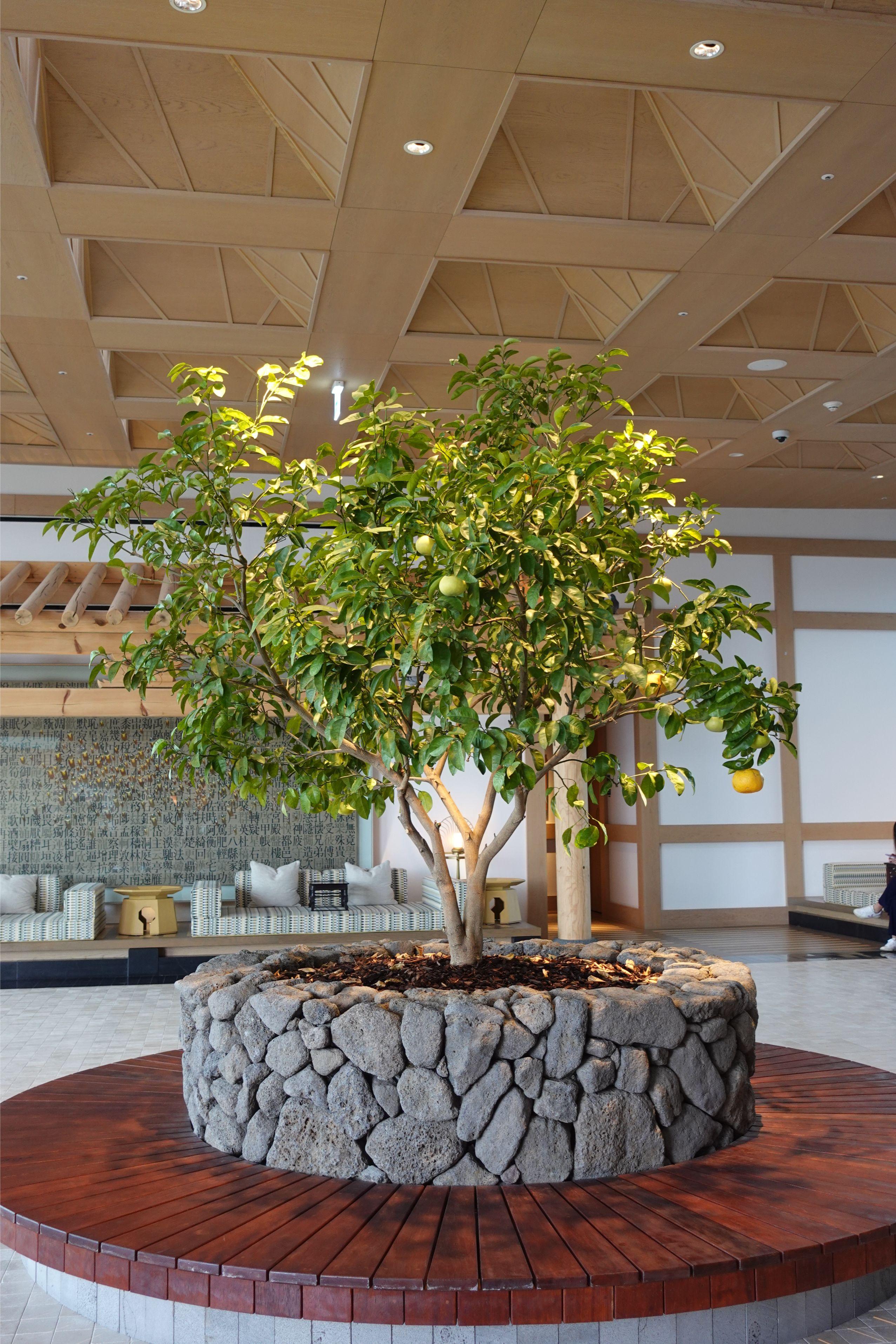 酒店型格之餘更不失傳統韓國風。