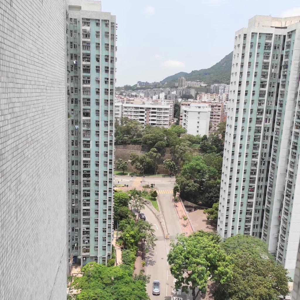 單位主要望開揚市景及園景,景觀不俗。(代理提供)