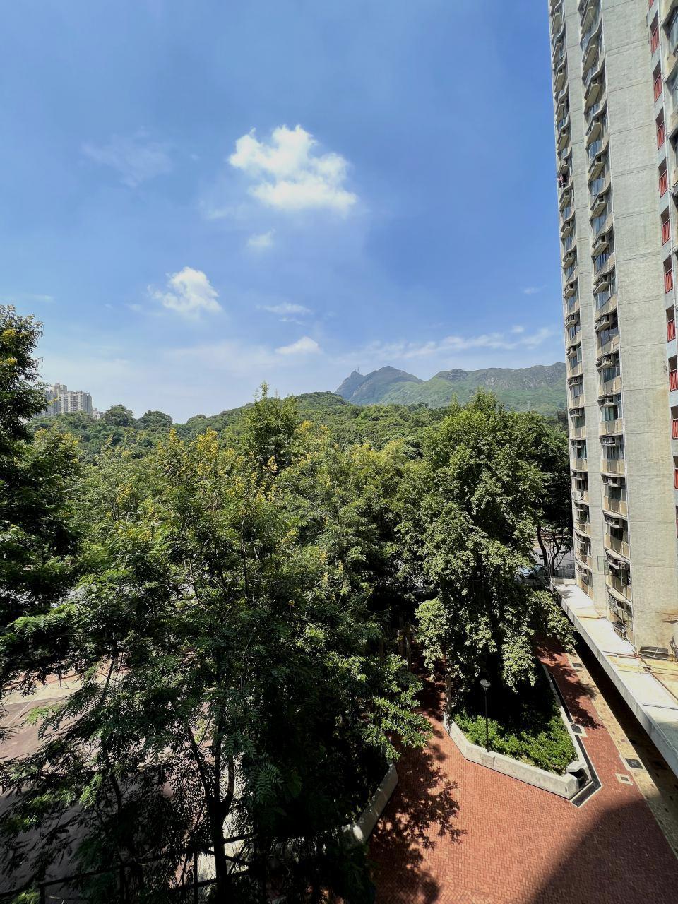 單位景觀以山景和園景為主。(代理提供)