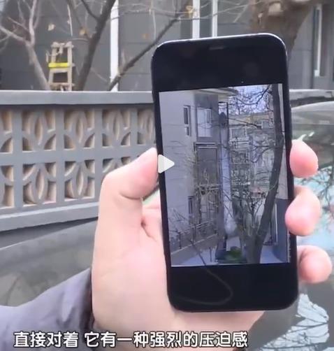 腕龍模型令佟先生失眠,認為有壓迫感