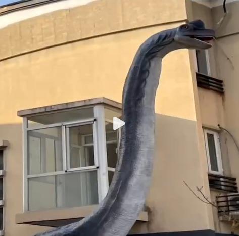 腕龍模型引起北京一對鄰居的意見不合