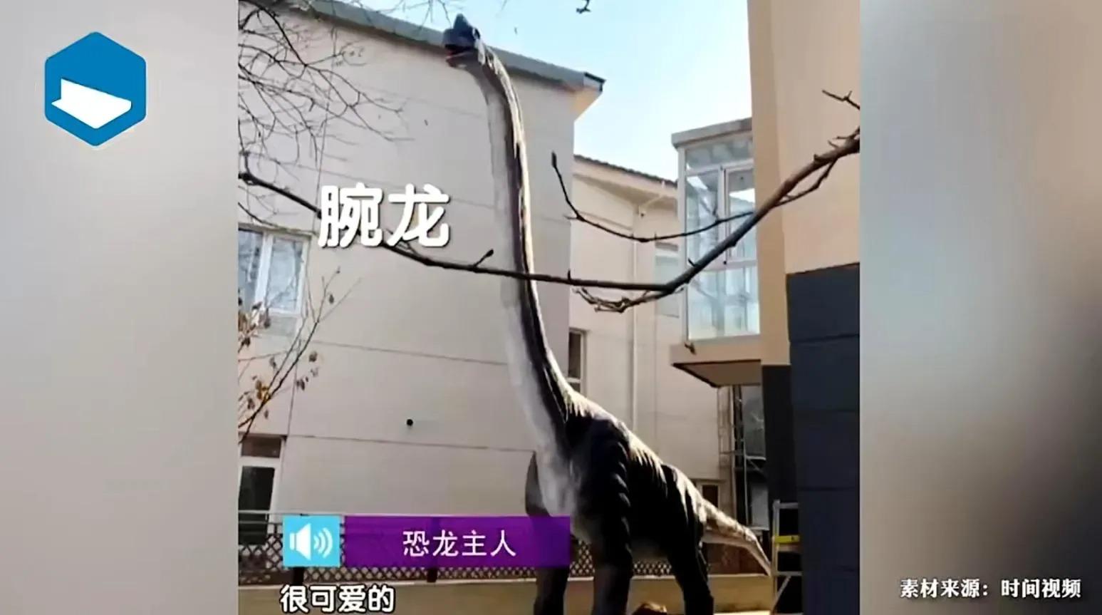 腕龍模型約15公尺高,圖片所見近3層樓