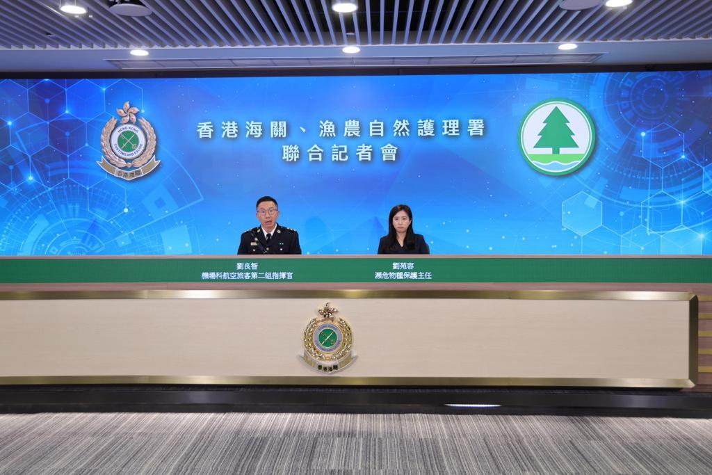 今年涉及瀕危物種案件暫錄379宗升約30% 大部分魚翅物種明起納入瀕危物種