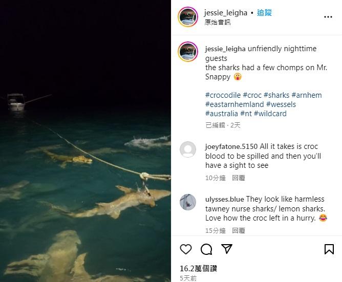 利哈在IG上傳影片。(互聯網)