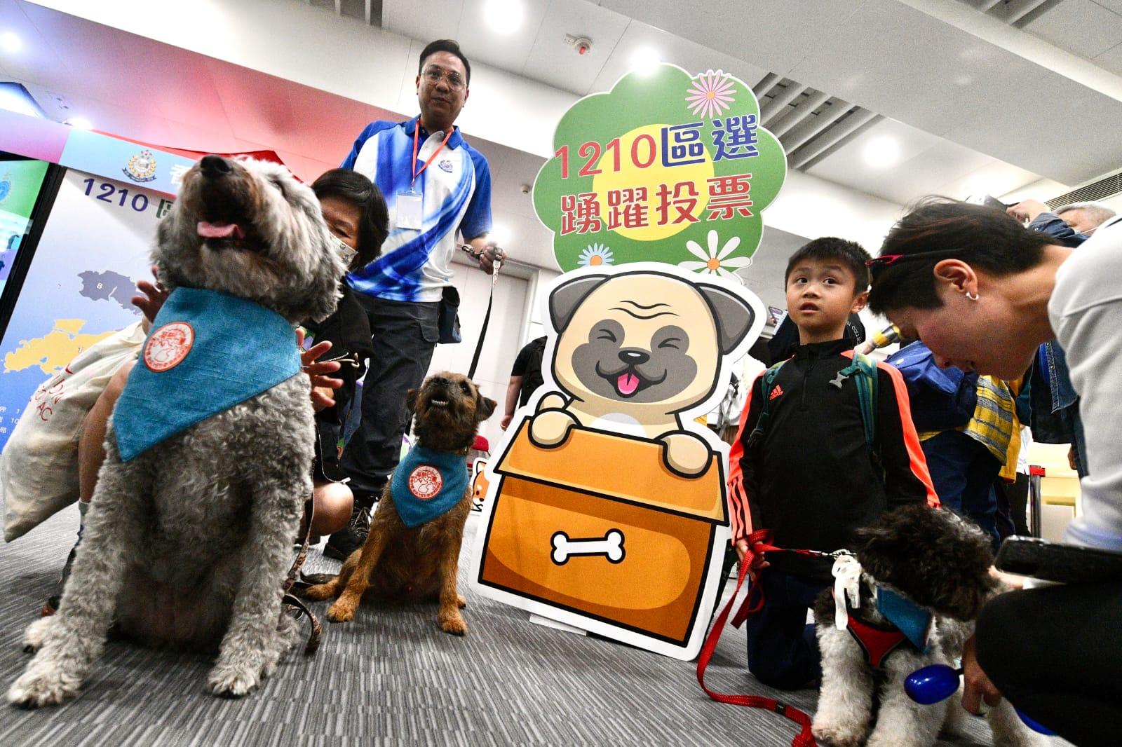 海關搜查犬亦有「出動」。