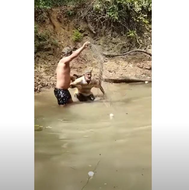 友人拿走電鰻,席爾瓦從水中站起。(互聯網)