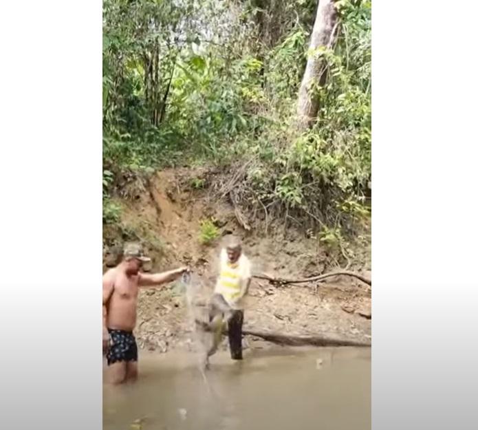 席爾瓦怒踢電鰻。(互聯網)