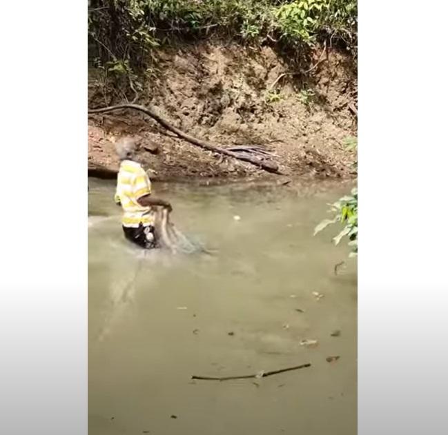 席爾瓦徒手捉電鰻,即觸電跌進水裡。(互聯網)