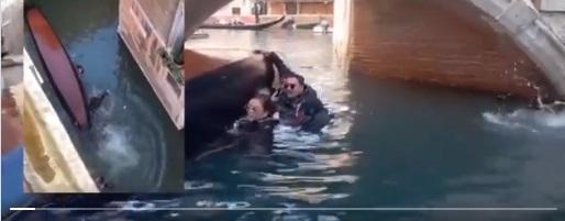 中國遊客跌落水後,抓緊船邊待救。(互聯網)