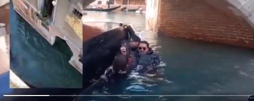 中國遊客跌落水後,抓緊船邊待救,有人驚慌。(互聯網)