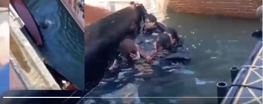 中國遊客跌落水後,抓緊船邊待救。(互聯網)